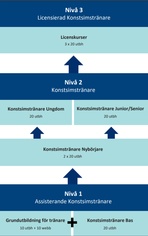 de tre stegen i utbildningsstrukturen för konstsim