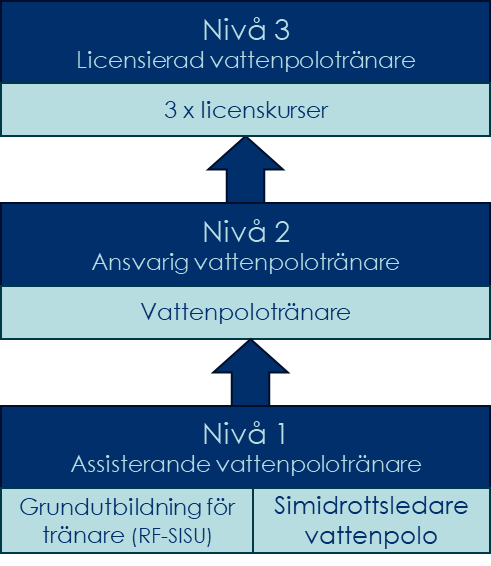 Utbildningsstruktur vattenpolo
