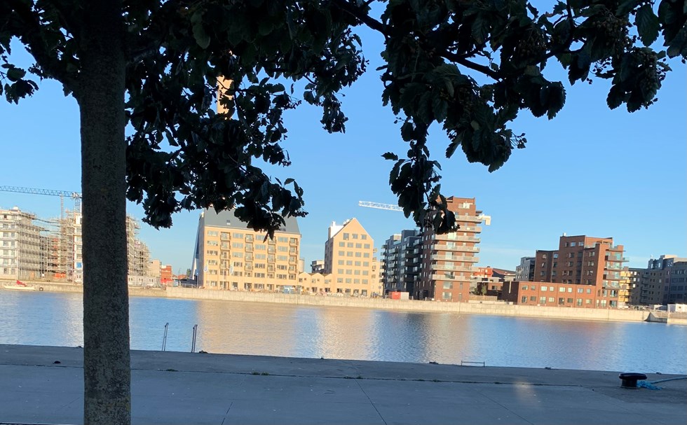 Malmö, Ön