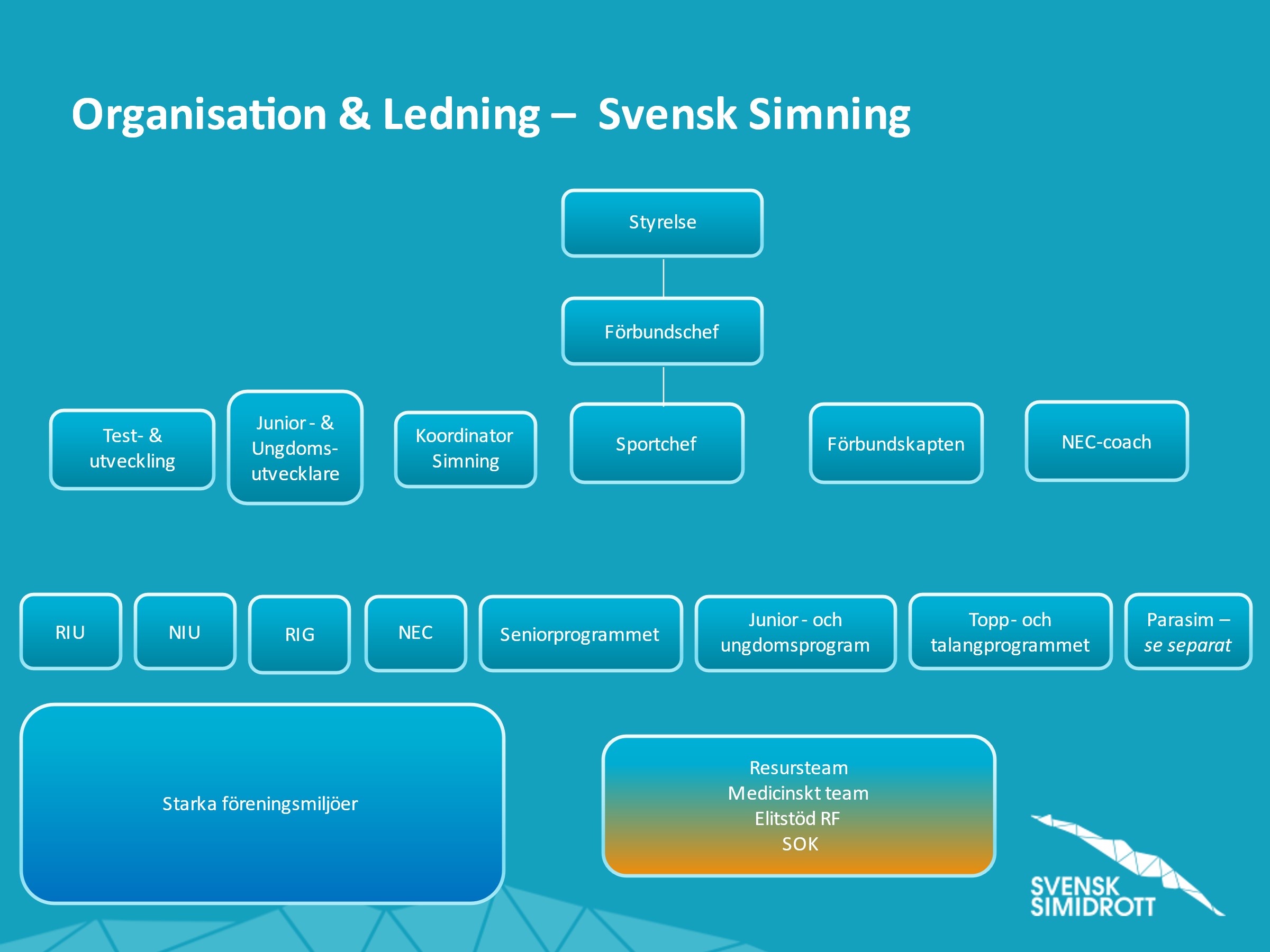 Simningens organisation